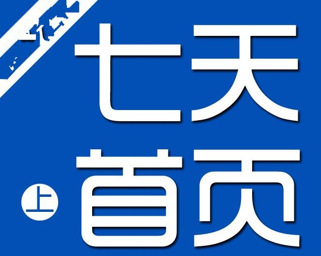 seo快速排名服务