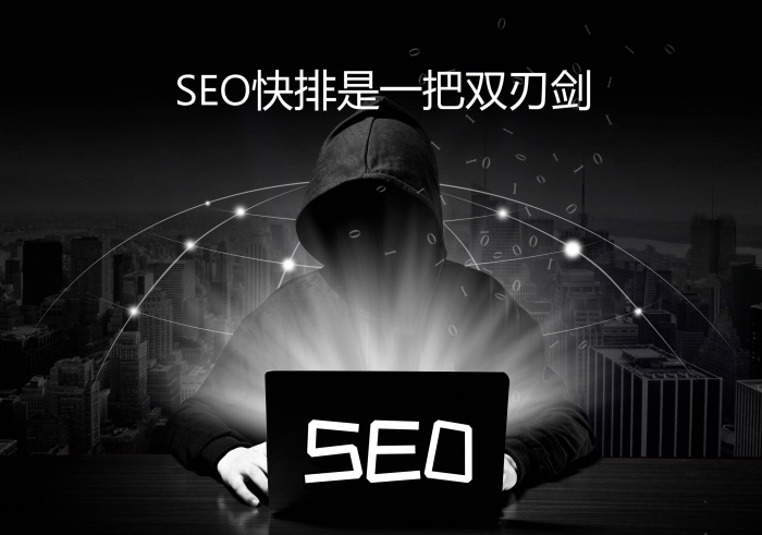 seo快速排名服务
